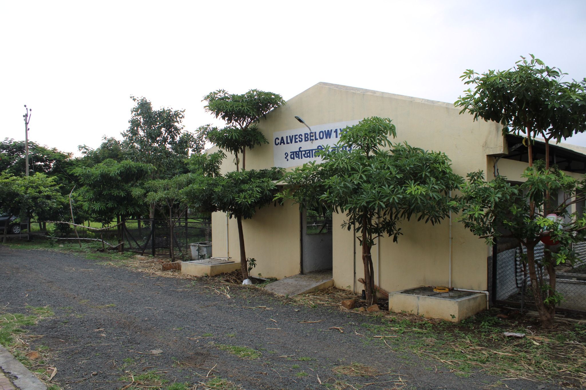 Livestock Farm Animal Shed1